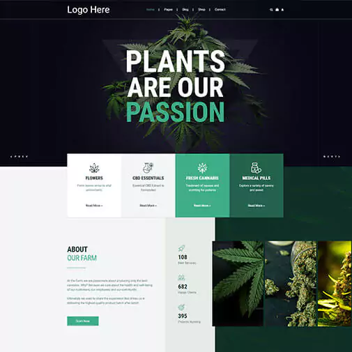 portfolio
