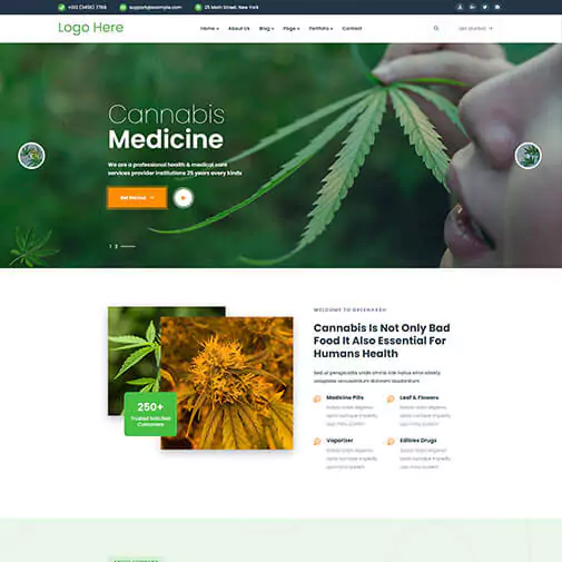 portfolio