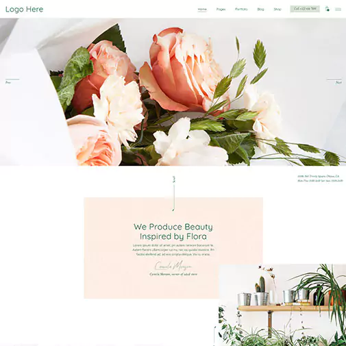 portfolio